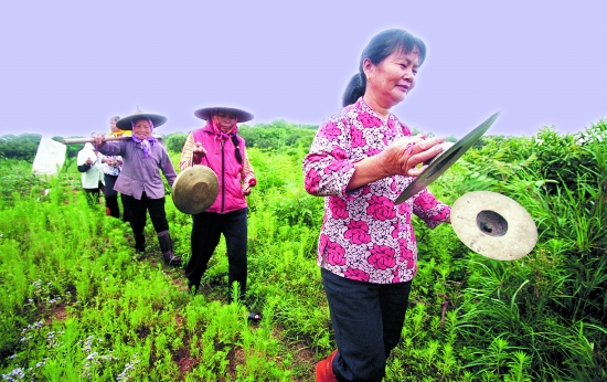 捕杀一头野猪要判多少年,野猪泛滥成灾国外的猎人捕猎野猪
