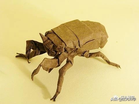 折纸大神的所有折纸,折纸大神教折纸