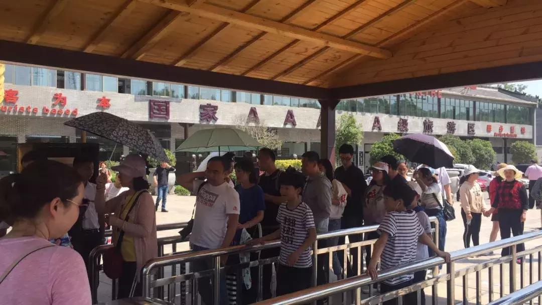 五一八泉峡景区接待量,西峡旅游迎来客流新高峰