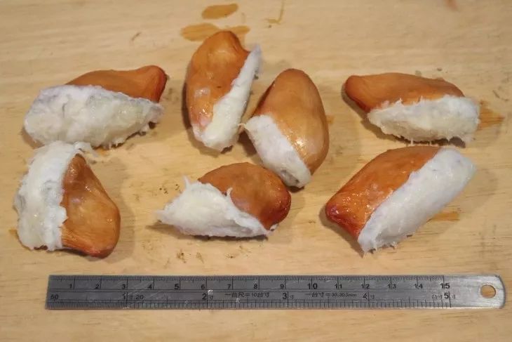 榴莲吃半个月会怎样,榴莲种子放冰箱保鲜里能种吗