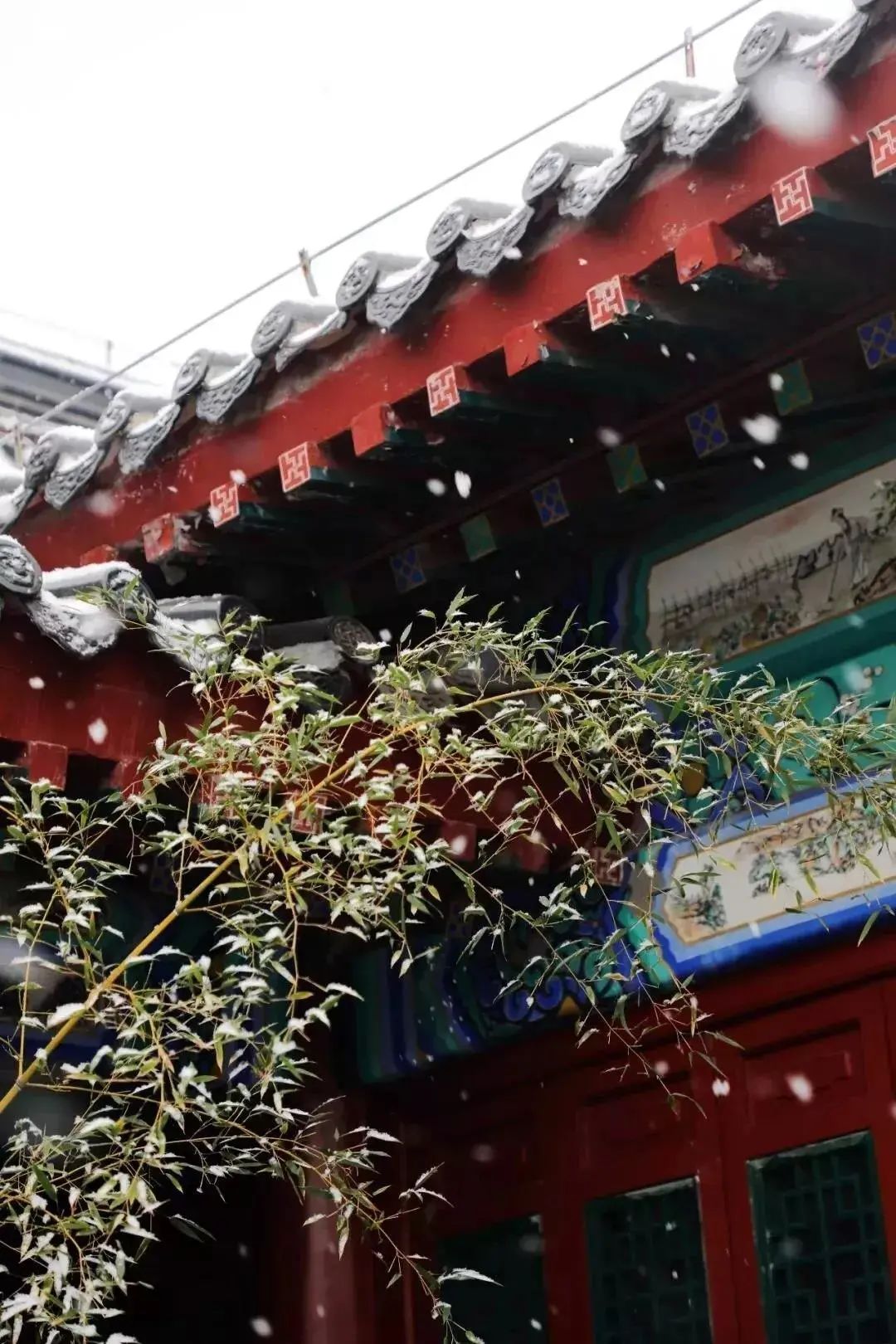 等一场雪，邂逅最美山“冬”｜冬游齐鲁