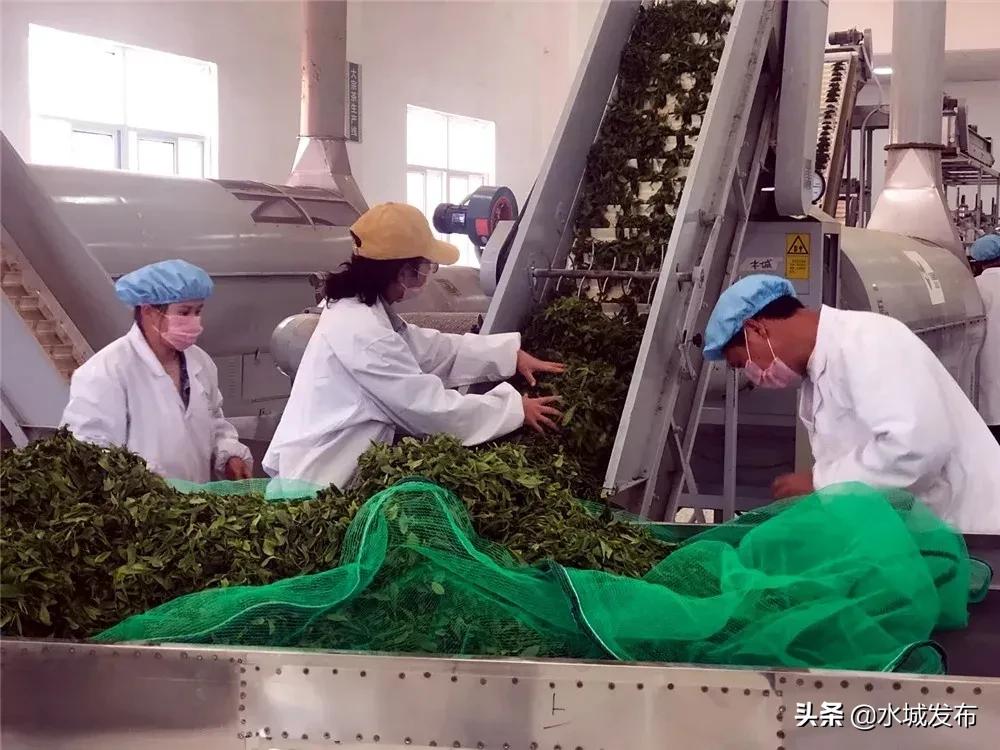 水城县特色产业,全域水城美丽乡村建设