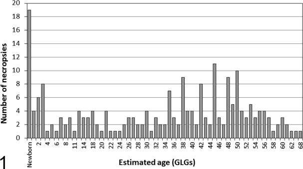 白鲸死亡跟什么有关,白鲸死亡事件