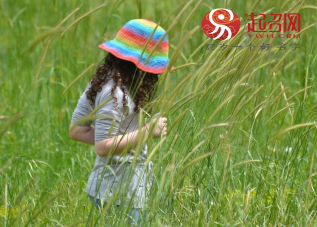 出自诗词的女孩,古诗意境唯美的女孩名字