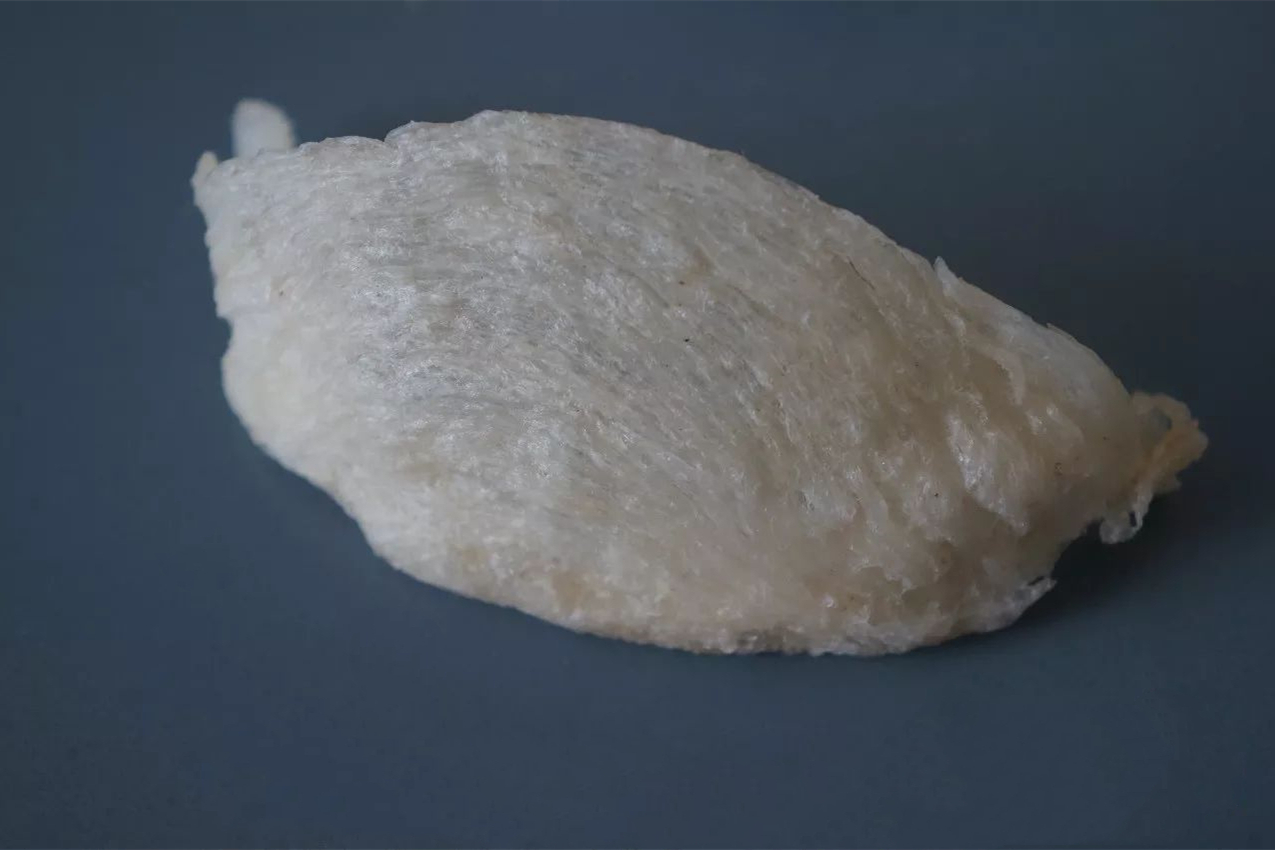 假燕窝和真燕窝区别,怎么鉴别真燕窝和假燕窝