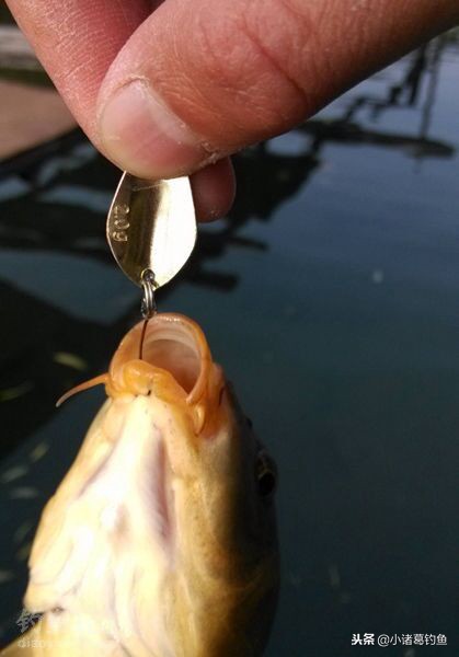 拟饵钩钓鱼法,拟饵串钩钓鱼方法
