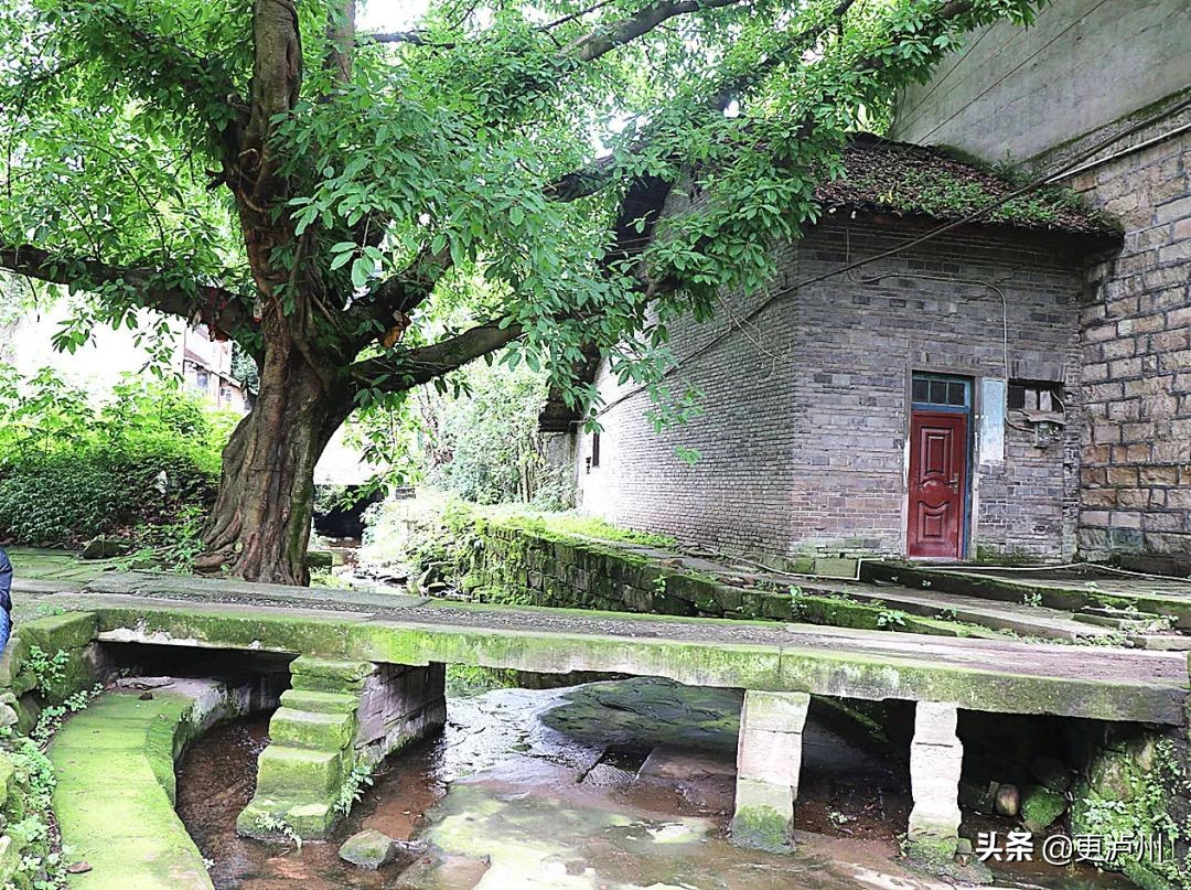 泸州罗汉场长江二桥,泸州罗汉场老街