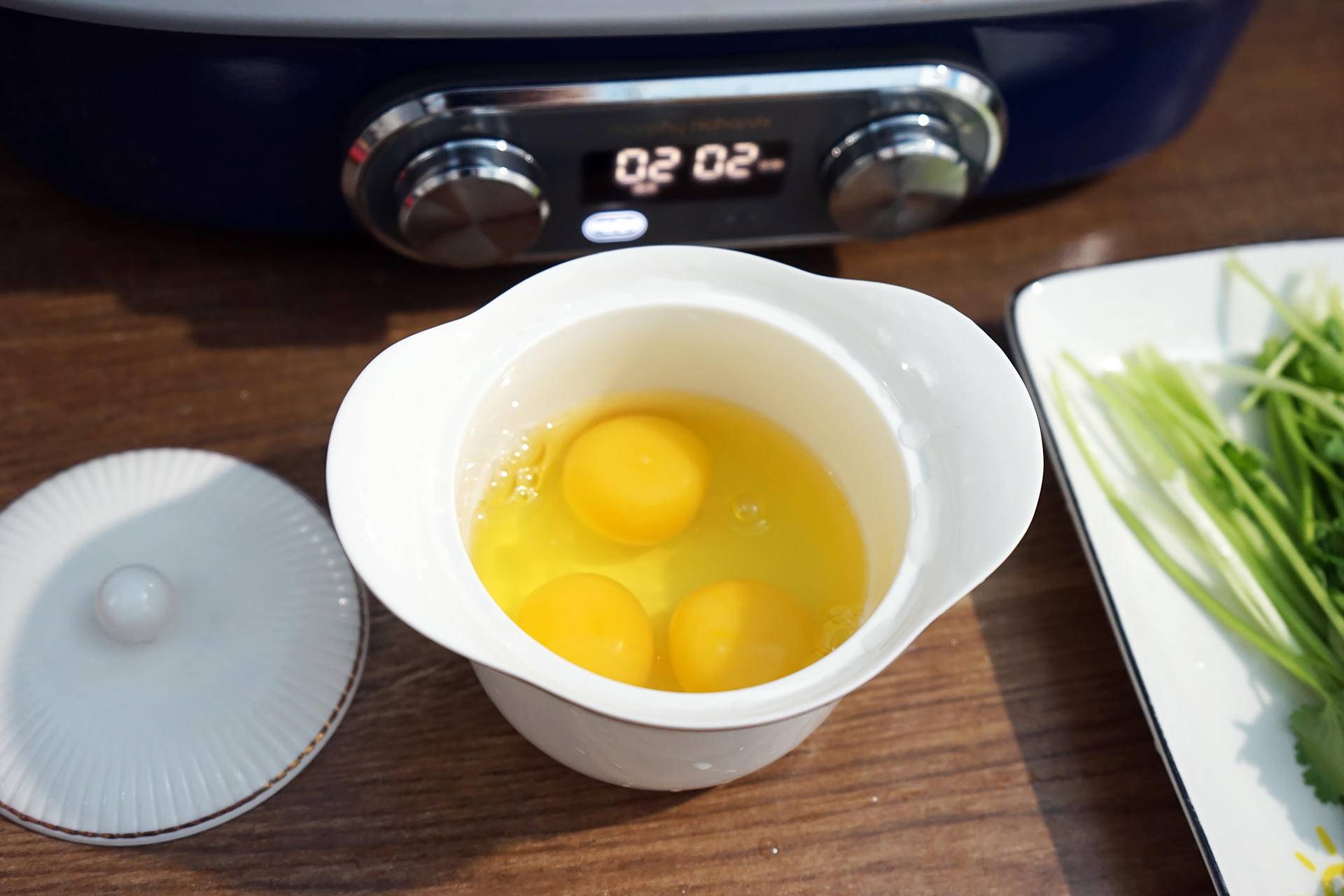 摩飞电火锅蒸锅,摩飞电蒸锅热菜