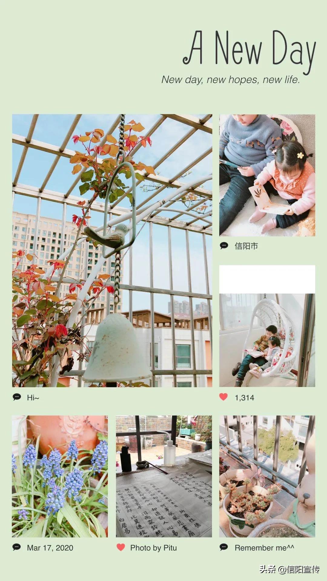 同心抗疫乐宅秀|做美食、练书法、勤学习…综合图集来啦