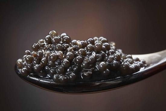 什么鱼籽营养最好,什么鱼籽都有营养