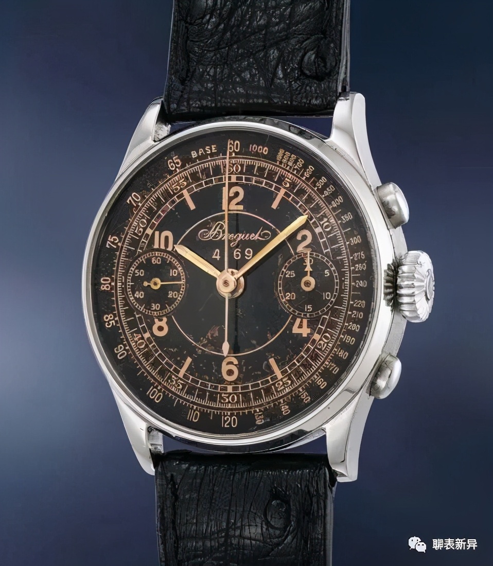 百里鸽是什么鸽,百里鸽是什么鸽图片