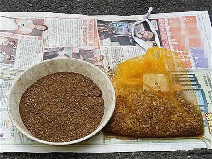 这6种碎渣渣，养花当土又当肥，比激素还有劲儿