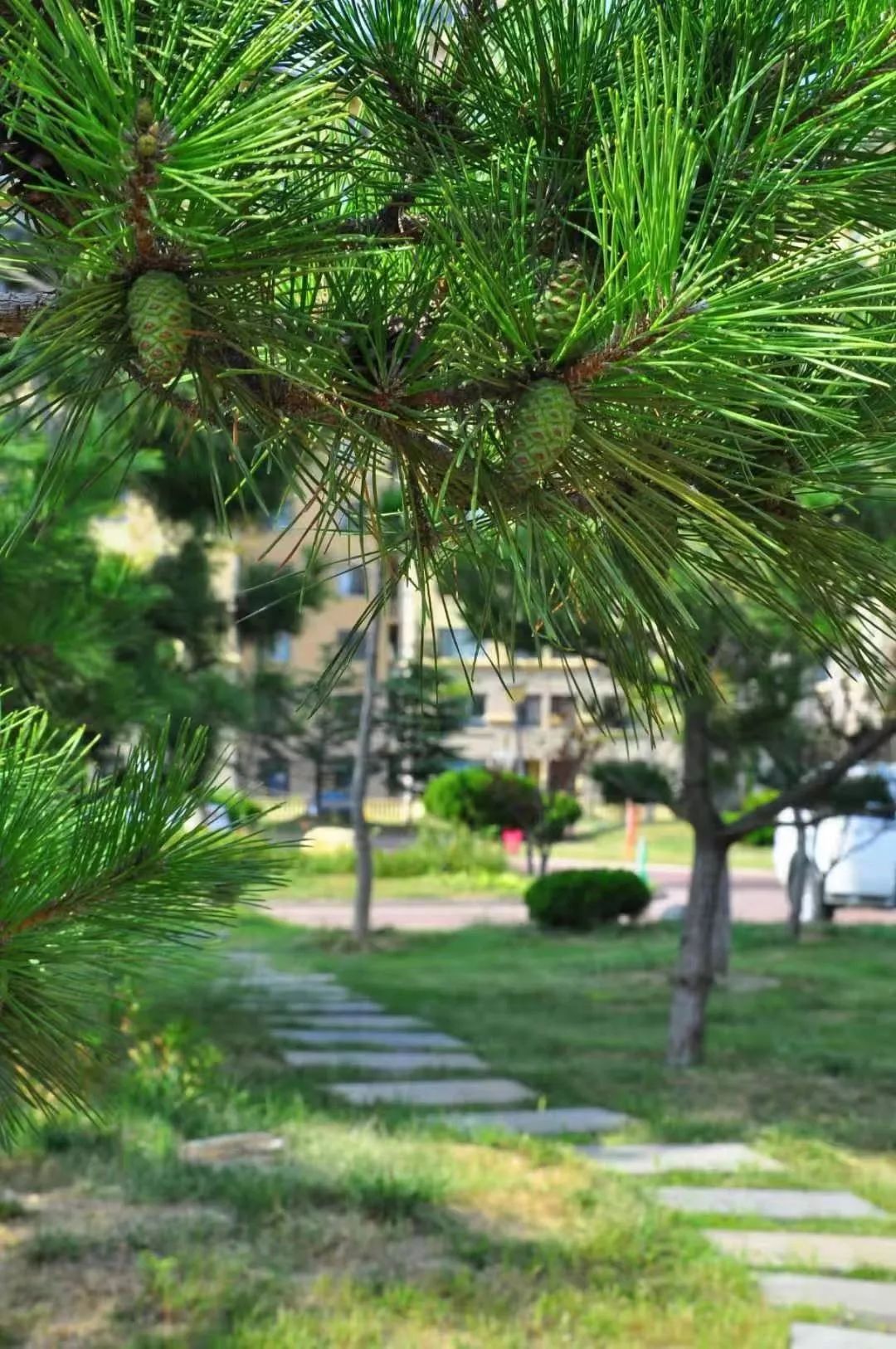 让心灵去旅行——海之梦国学养生营第二期回顾实录