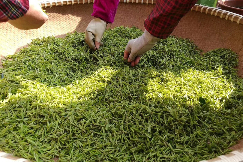 龙井哪里茶最正宗,龙井醉美山水茶
