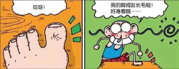 呆头农场刘姥姥图片,呆头农场给刘姥姥戴帽子