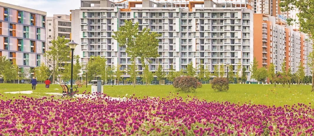 成都周边免费森林公园,成都十五个免费公园