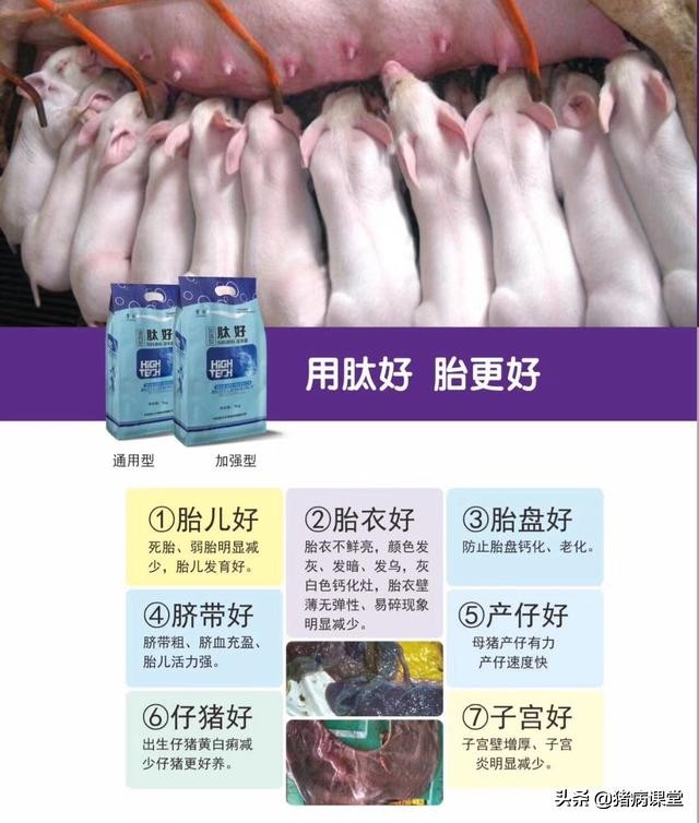 空怀母猪饲养管理主要目标是什么,空怀母猪饲养天数计算方法