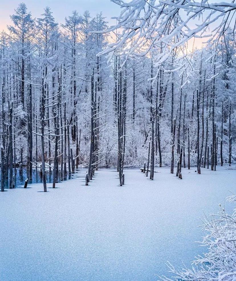 日本小众的好地方,日本最小众的地方