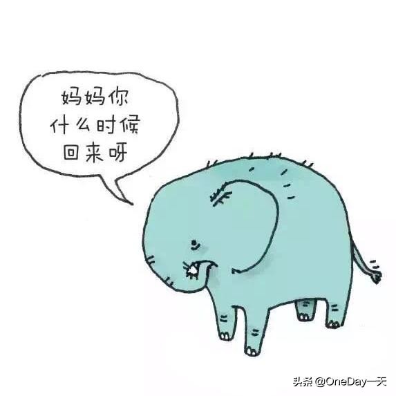 动物冷知识搞笑动画,搞笑动物冷知识22