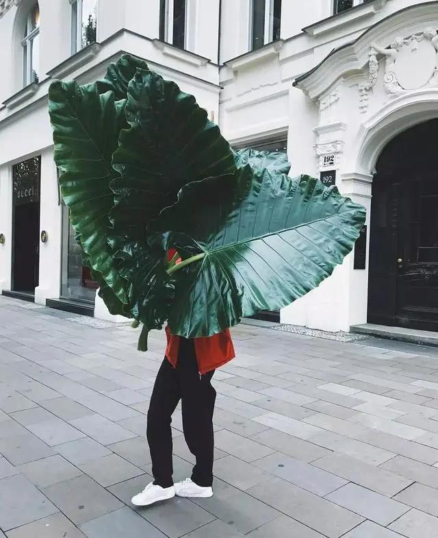 9平米花店,有4间铺面开花店怎样设计