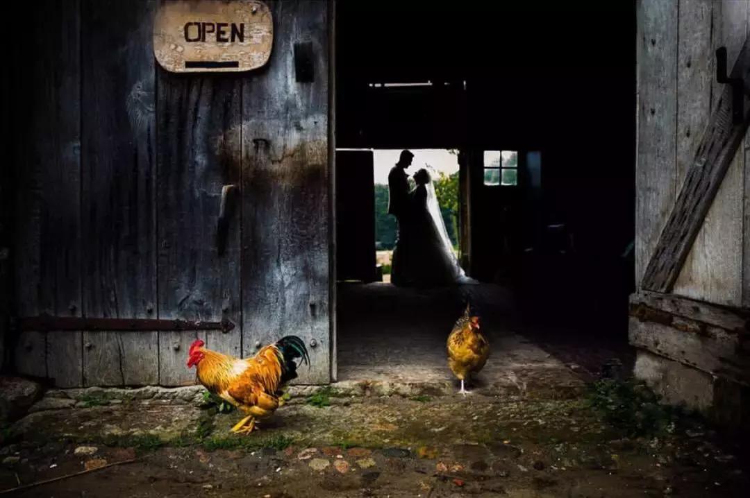 高手必学的十个技巧,顶级高手都在用的技巧必须学会