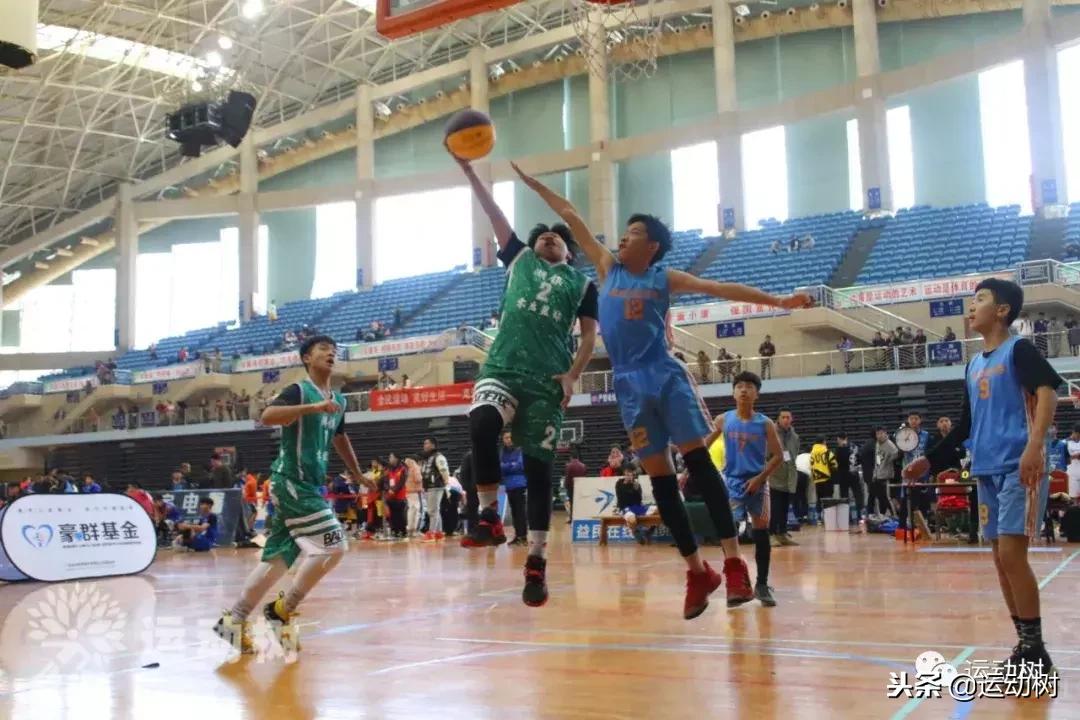 中国篮球名宿走进学校,中国篮球名宿26分