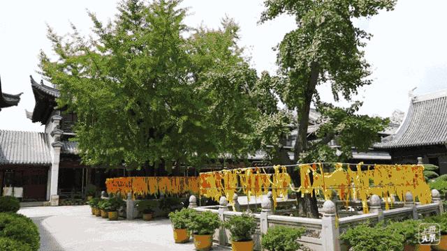 上海晚上十大必去免费景点,上海自驾游免费景点