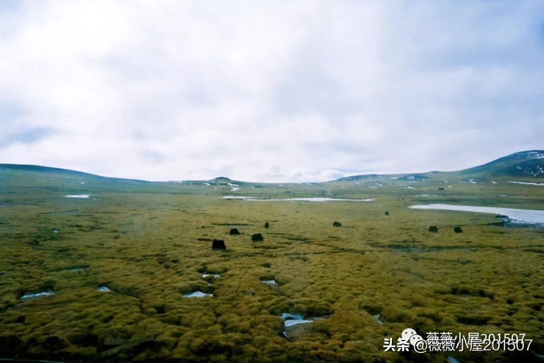 西藏拉萨大昭寺一日游,西藏2日游攻略布达拉宫与珠峰