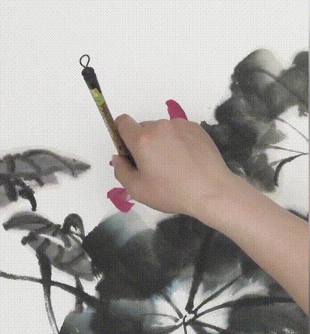 蜻蜓荷花图怎么画,夏天带有荷花蜻蜓的场景画法