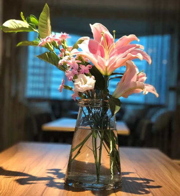 当你一无所有的时候歌曲,当你一无所有的时候健康是你唯一