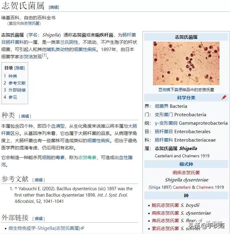 敢拿731部队受害者玩梗？！《我的英雄学院》作者惹怒多国网友