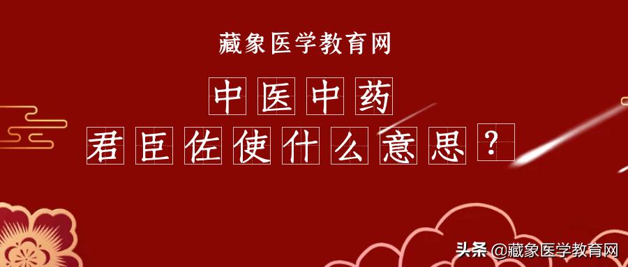 中医药的君臣佐使怎么讲解,中医药方君臣佐使的使一般是什么