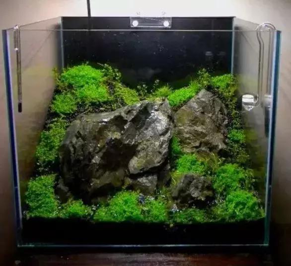 如何打造景观小缸,院子简易水景流水缸制作方法图片