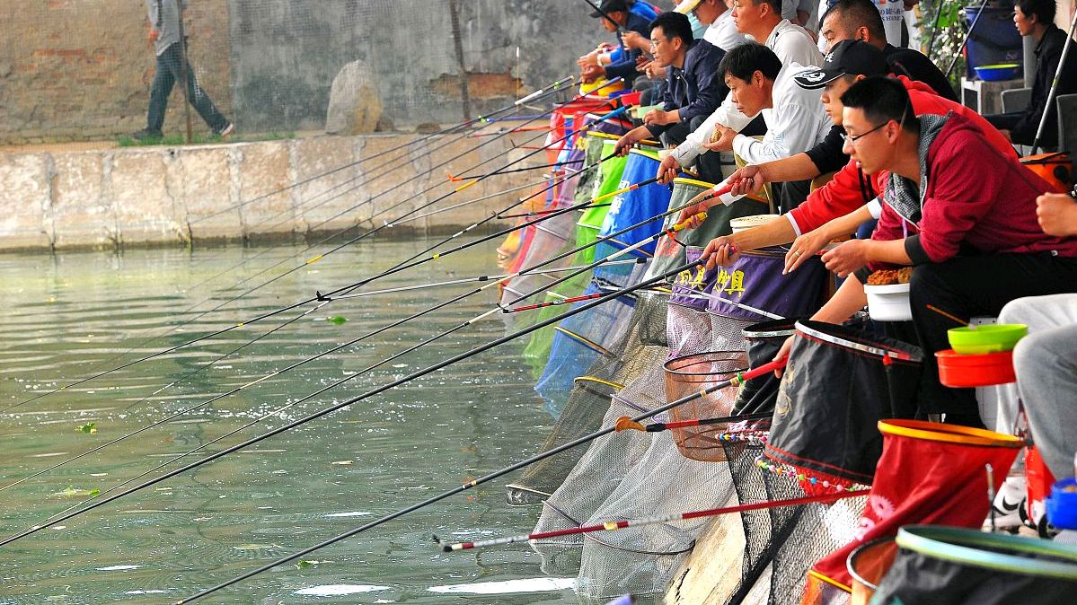 新手钓鱼如何选择鱼竿,新手钓鱼入门鱼竿选择