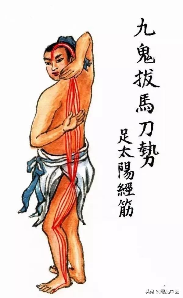 十二经筋连接动态图,十二经筋的图解