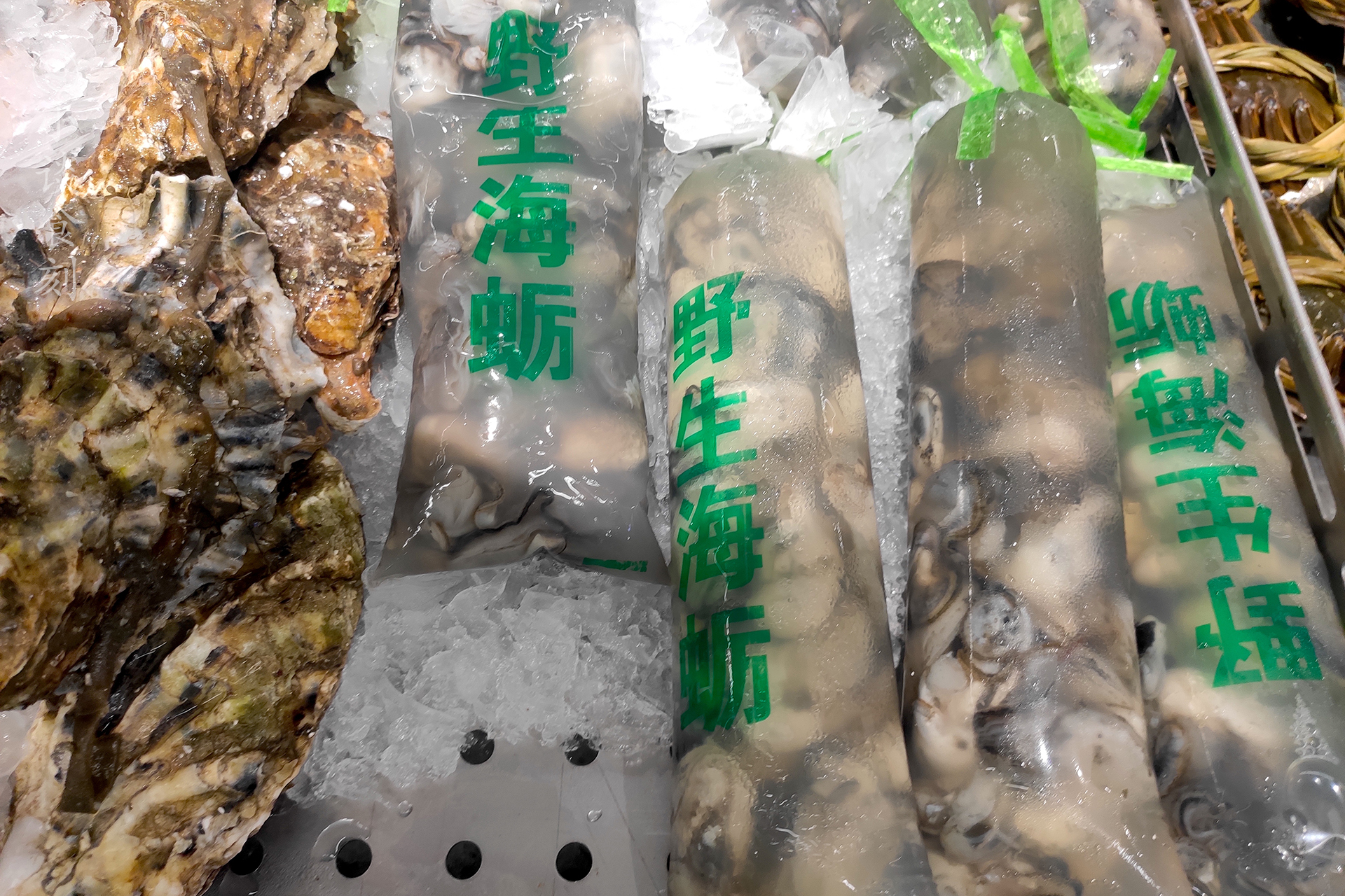 超市袋装生蚝肉为什么便宜,超市十几块一箱的生蚝