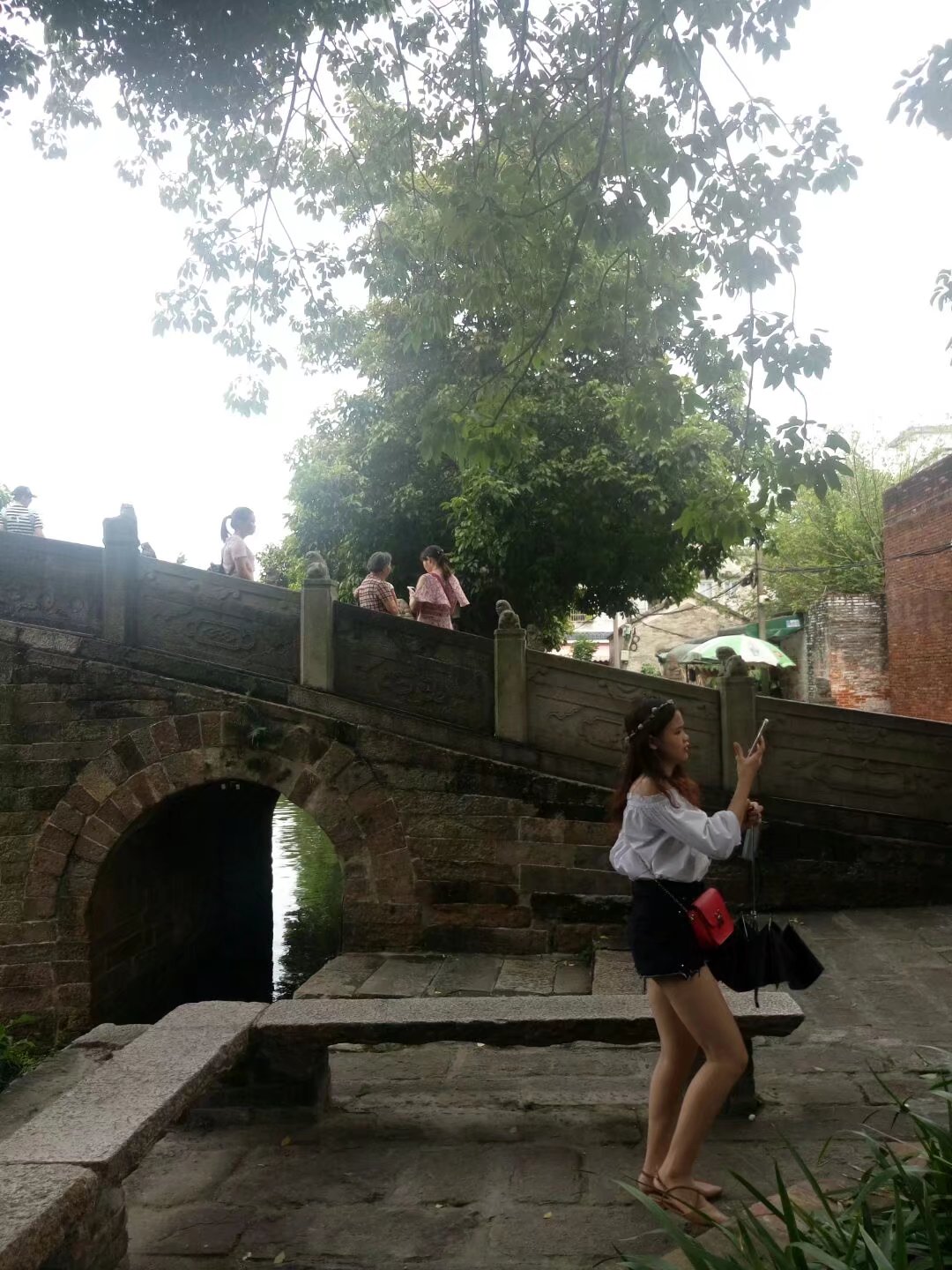 顺德杏坛逢简水乡地址,顺德杏坛逢简水乡简介