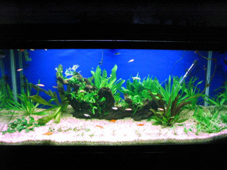 装修风水知识及禁忌表大全,装修风水禁忌大科普