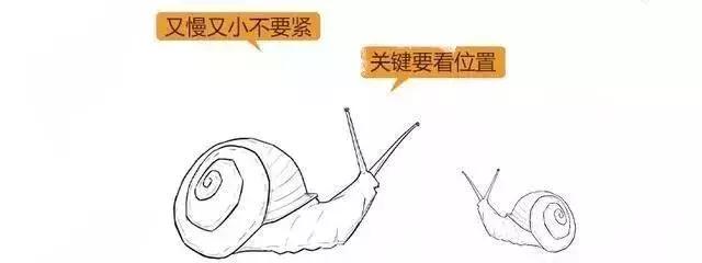漫画详解子宫肌瘤是个啥?