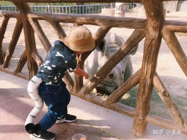 野生动物园长隆游玩攻略,野生动物园长隆攻略图片