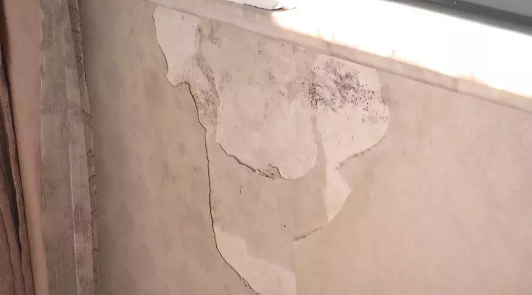 东方一品房子漏水,东方一品的房子漏水