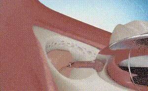 科普张姿势动图:感觉自己姿势又涨了100点