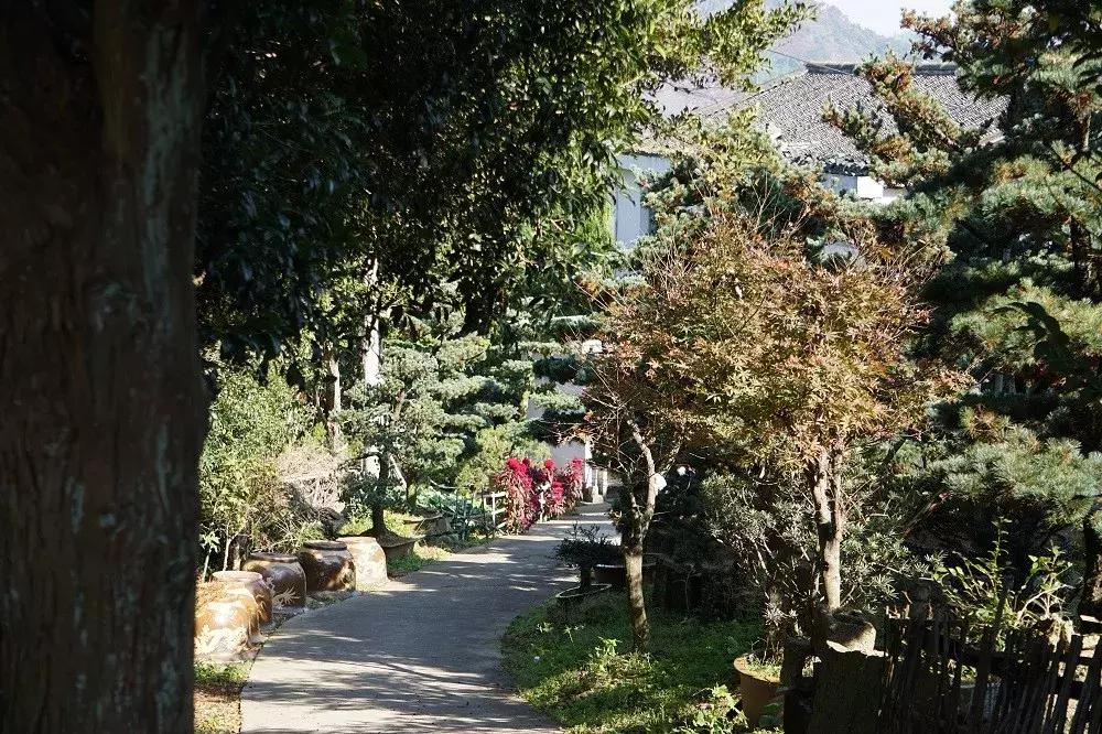 宁波北仑哪里有些免费的游玩景点,宁波北仑景点排名前十名