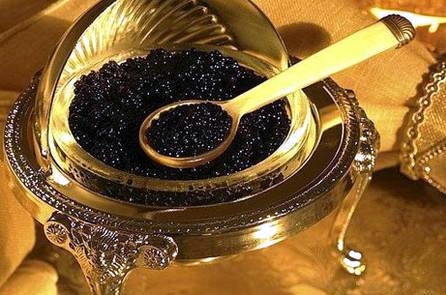 鱼中长者，从一亿三千万年到今天