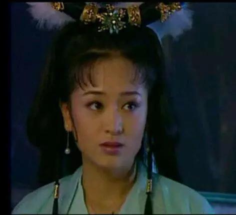 西游记后传一共鬼畜多少集,西游记后传1-30集无鬼畜版