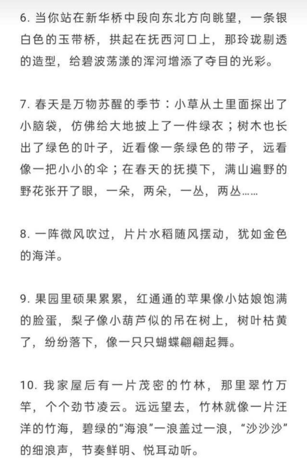 考试前语文应复习哪些基础知识,有以下几点