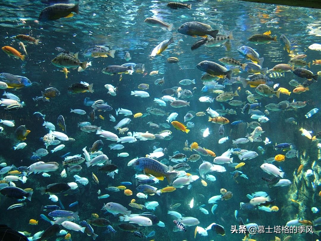 世界十大最适合旅游的国家,世界十大最佳旅行地区