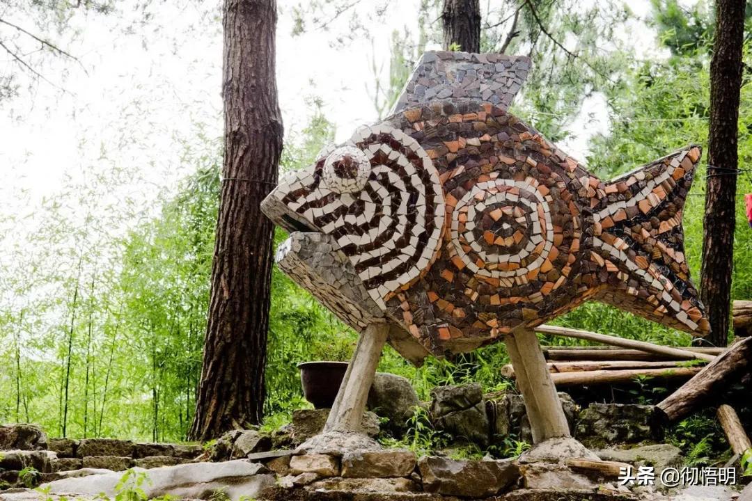 大学教授离家出走,大学教授隐居深山20年