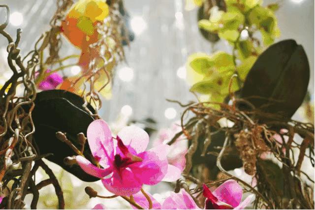 omg商品打折,omg网红街母亲节活动