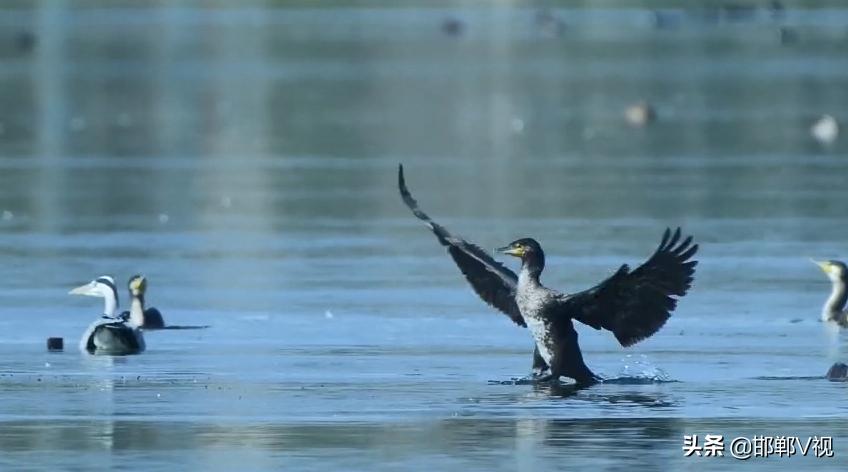 婊忔按鎵竼閭北鍖虹瘒,婊忔按鎵竼纾佸幙